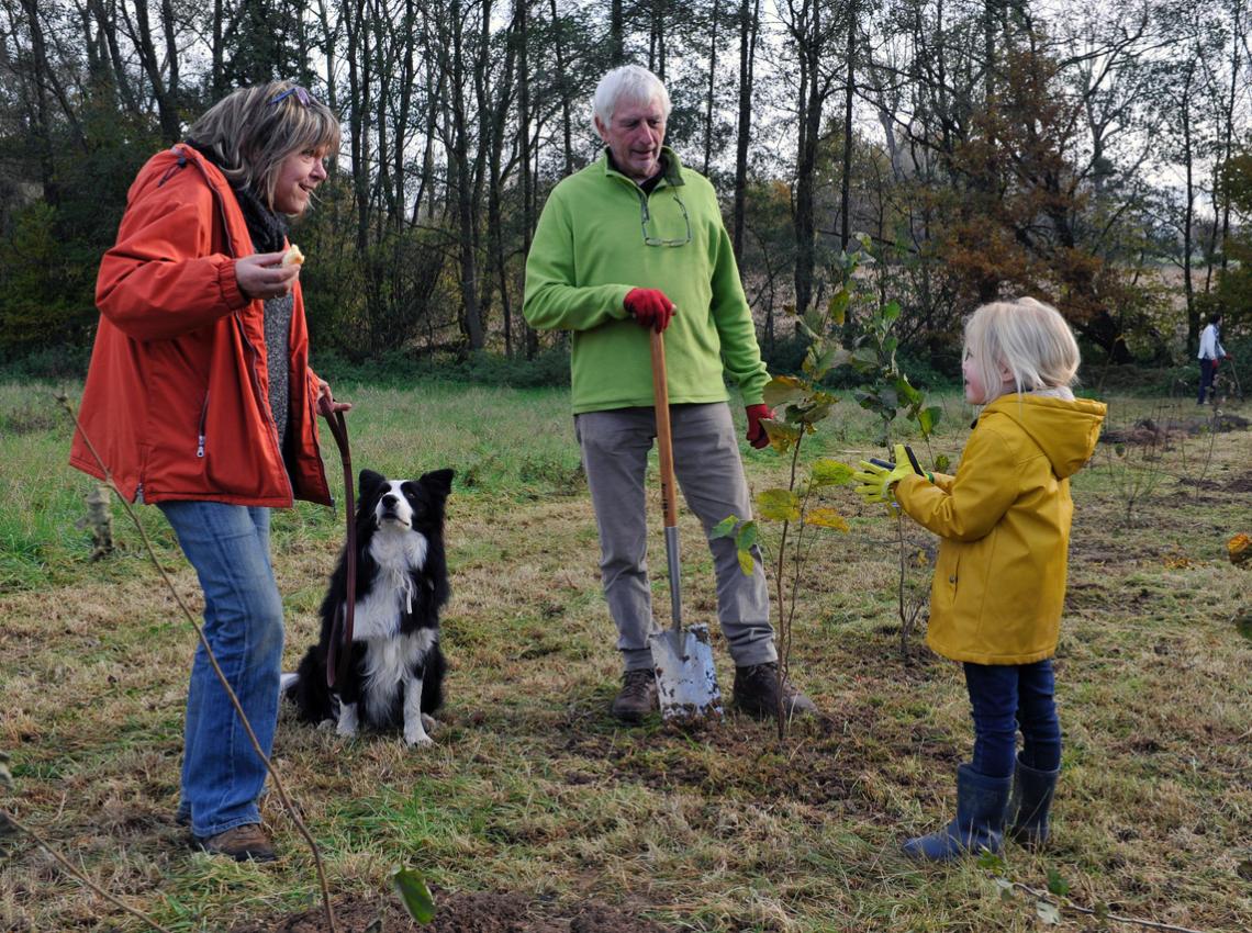 Plan Boommarter doeners