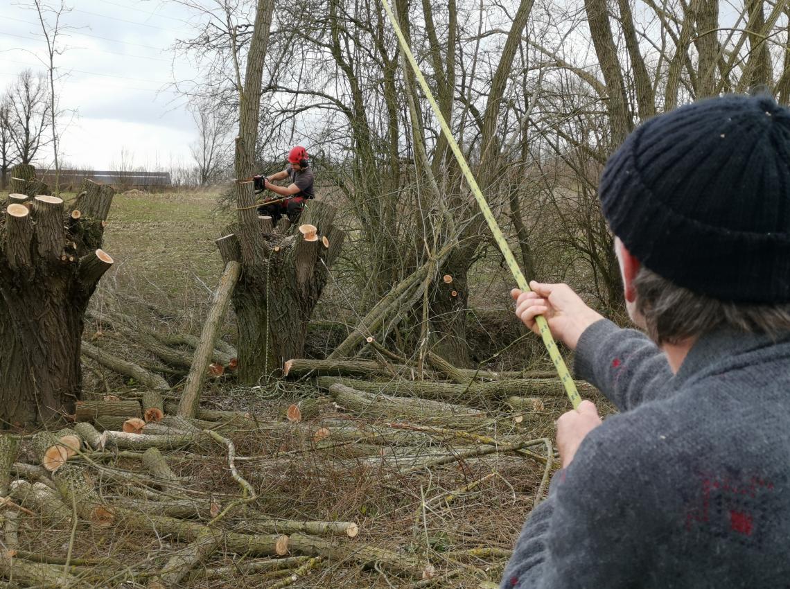 Plan Boommarter doeners